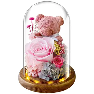 Licht für immer Ewige Blume Hortensie Blume Moos Bär Set Konservierte Rose Glaskuppel für Mutter Valentinstag Geschenke Geschenke