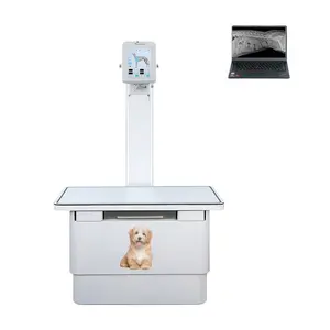 YSENMED DR Equipo de Rayos X Montado EN EL Piso para Uso Animal, Máquina de Rayos X Digital Veterinaria, 5.6KW/100mA, Precio, 1 Unidad, 1 Unidad - Product Image 1