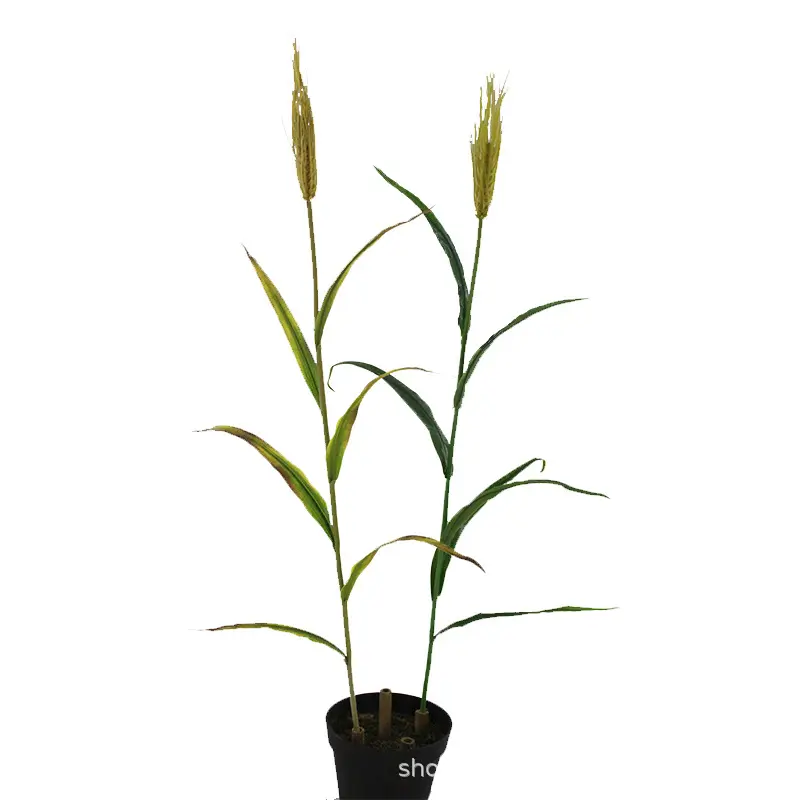 XRFZ wheat crop single branch barley spring and autumn color plant DIY decoration project manufacturers