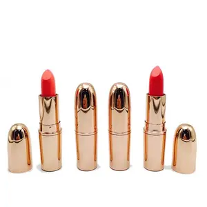 Multi-colored tubes optional bullet heads durable matte waterproof private label cosmetics lipstick