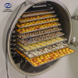 Haute Performance Fruits Légumes Figue Mangue Citron Gombo Mûrier Lyophilisation Machine Lait Miel Lyophilisateur - Product Image 5