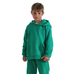 Özel logo erkek pamuk kapüşonlu toptan moda ucuz hoody popüler çocuk fransız terry hoodies