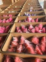 Bunga Segar Awet Bunga Kering Bunga Abadi Suvenir Buket Mini Magnet Kulkas Grosir