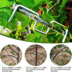 เครื่องมือจัดแต่งกิ่งไม้ผลจากโรงงานโดยตรง สำหรับการจัดทรงกิ่งไม้ผล ทำจากโลหะ - Product Image 2
