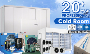 Nhỏ Mini Modular Trái Cây Và Rau Cá Điện Thoại Di Động Lạnh Thương Mại Đi Bộ Trong Máy Làm Lạnh Phòng Lạnh Tủ Đông - Product Image 4