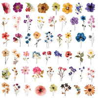50pcs Stiker Bunga Tekan Transparan PET Dekorasi Tanaman Botani untuk Jurnal Notebook Tablet Case Botol DIY