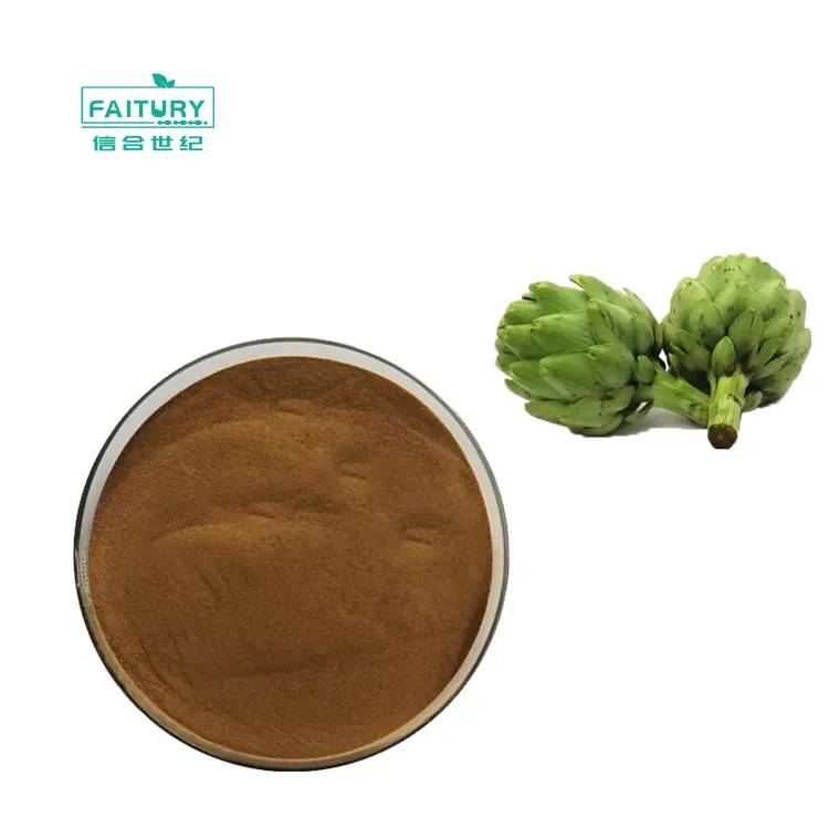 ISO Quality Food Grade Cynara Scolymus Artichoke Leaf Extract 2.5% 5% Cynarin Powder