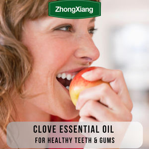 Fornitori <span class=keywords><strong>di</strong></span> Oli Essenziali all'Ingrosso, Oli Essenziali Puri al 100% Naturali e Biologici per Cura dei Capelli e della Pelle, <span class=keywords><strong>Olio</strong></span> <span class=keywords><strong>Essenziale</strong></span> <span class=keywords><strong>di</strong></span> Bocciolo <span class=keywords><strong>di</strong></span> <span class=keywords><strong>Chiodi</strong></span> <span class=keywords><strong>di</strong></span> <span class=keywords><strong>Garofano</strong></span> - Product Image 4