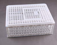 Fournisseur chinois Nouveau PP Cage de transport de poulet vivant durable Boîte de retournement de poussins Caisse de transport en plastique pour ferme avicole