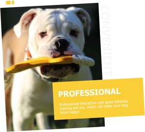 Jouets pour chiens en corde de coton en forme d'os, écologiques, interactifs, durables, vente en gros - Product Image 6