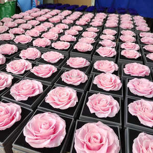 ورود محفوظة إلى الأبد حقيقية مصنوعة يدويًا ورود طبيعية أبدية محفوظة صندوق مجوهرات زهور هدايا عيد الميلاد سعر المصنع - Product Image 4