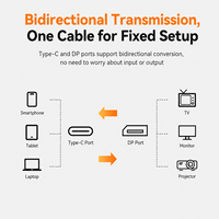 Câble USB-C bidirectionnel 8K 60Hz DP 1.4 1m PVC compatible Thunderbolt 4 OEM personnalisé pour HDTV