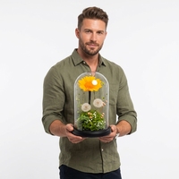 Cadeau de Noël personnalisé, bouquet de fleurs éternelles en mousse de pissenlit, tournesol préservé, ornement dans un dôme en verre, boîte cadeau