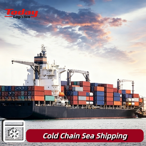 Sea + Express Logistics rentable reactivo farmacéutico alimentos frescos congelados despacho de aduanas integrado EE. UU. Canadá Australia - Product Image 1