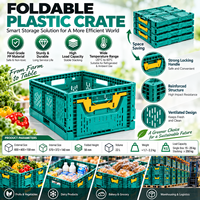 Caisses en plastique pour légumes de qualité alimentaire PP 606x408x225mm, robustes, empilables, pliables, pour le transport et le stockage