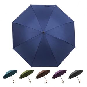 Parapluie de créateur pas cher, tendance, anti-UV, résistant au vent, avec étui - Product Image 1