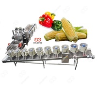Laveuse Nettoyante Commerciale Haute Efficacité en Acier Inoxydable 304 pour Fruits et Légumes (Maïs, Tomates, Brocoli) à Bulles d'Ozone