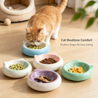 Bol à nourriture pour chien et chat en céramique moderne anti-étouffement ergonomique pour poisson, portable, étanche, utilisation en extérieur