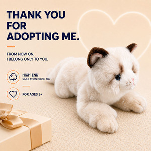 Produttore di Giocattoli OEM Realistici a Forma di Gatto Ragdoll con Pelo Corto, Fornitore All'Ingrosso di Animali di Peluche con Logo Personalizzato ed Etichetta Privata - Product Image 2