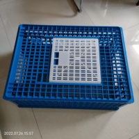 Cages de transport pour volailles en plastique robuste ZZ, adaptées à 12-13 poulets adultes, canards, équipements de transport