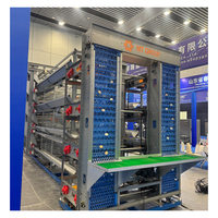 Cages à batterie pour 224 poules pondeuses, pour élevage avicole, avec système d'alimentation et d'évacuation des déjections