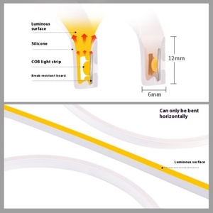 Tira de Luz LED de Neón para Exteriores, Impermeable IP67, 6*12mm, Silicona Coextruida, para Iluminación Ambiental de Paisajes - Product Image 5