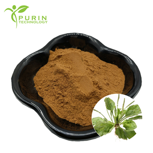 Voedingssupplement Plantago Asiatica Plantaginextract van gehele plant Plantaginpoeder - Product Image 1