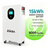 Batterie murale LiFePO4 PHI Stock 51,2 V 16 kWh, système de stockage d'énergie domestique mural, BMS intelligent pour l'utilisation de l'énergie de secours solaire à domicile