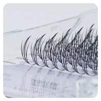 ANNAFRIS Votre Marque Naturel Manga Faux Cils Greffage Premade Fans Comic Spire Plume En Forme De Cils Extension