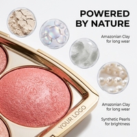 Palette de fards à joues à l'extrait d'aloe vera, formule apaisante, marque privée OEM ODM, végétalien, sans cruauté, base de maquillage, production experte, professionnel