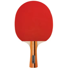 Ensemble de raquettes de tennis de table portables pour débutants pour le divertissement familial en bois 2025 extérieur adapté aux adultes et aux enfants - Product Image 3