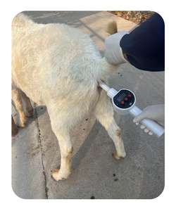 Tragbare Schaf massage Sperma Sammlung Stick White Animal Samen Sammler für Hund Katze Rinder Ziege - Product Image 3