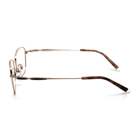 Espectáculo 2019 nuevo diseño de estilo de moda de titanio gafas óptica