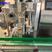 Remplisseur de crème liquide visqueux de qualité alimentaire Machine de remplissage de sauce à pompe à engrenages automatique multifonctionnelle