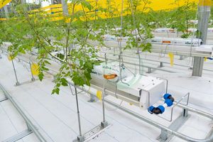 Système de culture en PVC Jiapei pour tomates, concombres et poivrons - Product Image 5