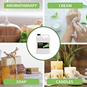 Huile de graines de <span class=keywords><strong>concombre</strong></span> de qualité supérieure en gros, <span class=keywords><strong>prix</strong></span> de gros, pour les soins de la peau et des cheveux, huile de <span class=keywords><strong>concombre</strong></span> 100% pure et biologique - Product Image 3