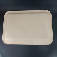 Plateau alimentaire jetable de 14 pouces plateau d'écrevisses en pulpe de canne à sucre assiette en papier compostable pour barbecue Thanksgiving