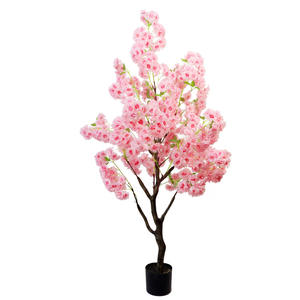 La encantadora elegancia de los árboles de flor de cerezo - Product Image 1