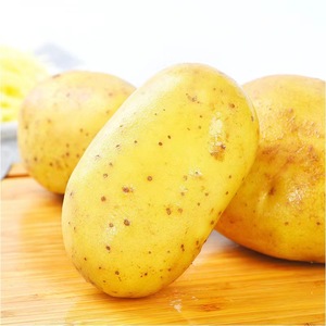 มันฝรั่งสดที่มีคุณภาพสูงเป็นบวกต้นกำเนิดมันฝรั่งขายตรง - Product Image 2