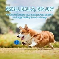 Offre Spéciale 2026 – Jouet pour animaux de compagnie en caoutchouc naturel pour le nettoyage des dents des chiens de taille moyenne à grande, confort au moment du coucher, jouet couineur pour animaux de compagnie en ETPU