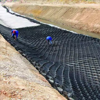 Grille cellulaire géocell en HDPE à faible coût pour le contrôle de l'érosion des sols industriels, utilisée pour la stabilisation des routes, des mines et des décharges.
