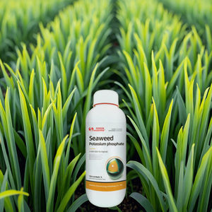 <span class=keywords><strong>Engrais</strong></span> foliaire <span class=keywords><strong>riche</strong></span> <span class=keywords><strong>en</strong></span> <span class=keywords><strong>phosphore</strong></span> <span class=keywords><strong>et</strong></span> <span class=keywords><strong>en</strong></span> <span class=keywords><strong>potassium</strong></span> à base d'algues, très vendu, pour compléter le <span class=keywords><strong>phosphore</strong></span> <span class=keywords><strong>et</strong></span> le <span class=keywords><strong>potassium</strong></span> - Product Image 2