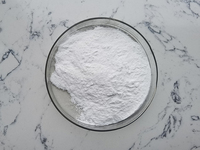 Poudre d'enzyme papaïne de qualité alimentaire, extrait naturel de papaye, prix de gros en vrac