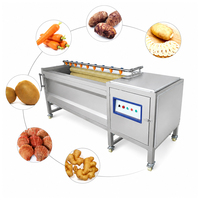Fabrieksgroothandel 150 kg/u aardappel, gember, lotuswortel, papaja en zoete aardappel was- en schilmachine voor groenten en fruit