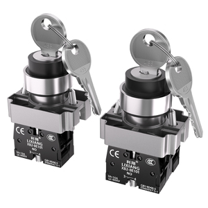 Xb2 Key ROTARY Nút chuyển đổi thiết lập lại 22mm bắt đầu 1no1nc momentary Brass Head hai/ba bánh răng khóa điện 660V 10A - Product Image 5