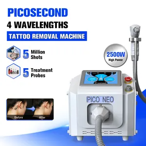 Portable Professional Q Switch Pico Laser Tattoo Removal Machine 2024 New 532nm 755nm 1064nm 1320nm Picosecond Laser Price
