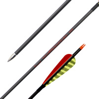 Flèches en fibre de carbone 300 340 400 500 600 800 Spine, adaptées à la chasse et à l'entraînement.
