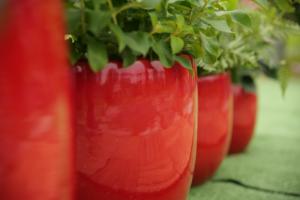 Ensemble de pots à fleurs en céramique de style américain, design en forme d'œuf rouge brillant, finition émaillée, trou de drainage, respectueux de l'environnement - Product Image 4