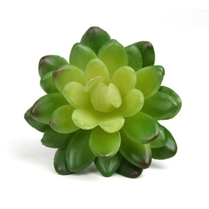 Suculentas Artificiales <span class=keywords><strong>Echeveria</strong></span> Gem Lotus para Marcos de Plantas 3D, Decoración de Bonsái en Maceta para Interiores, Venta al por Mayor - Product Image 2