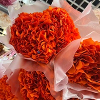 Bunga Hydrangea Daun Besar Premium Alami Awet Ramah Lingkungan Tahan Lama 3-5 Tahun Warna Sesuai Pesanan Pengisi Bunga Toko Bunga Pasokan Grosir